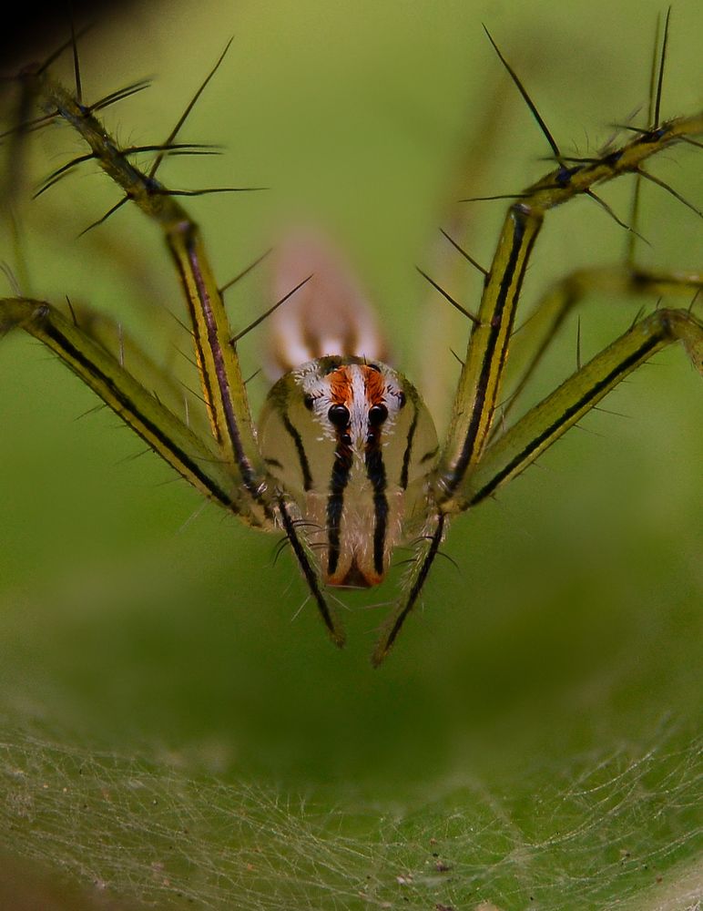 Photograph by Kasun Wickramasinghe