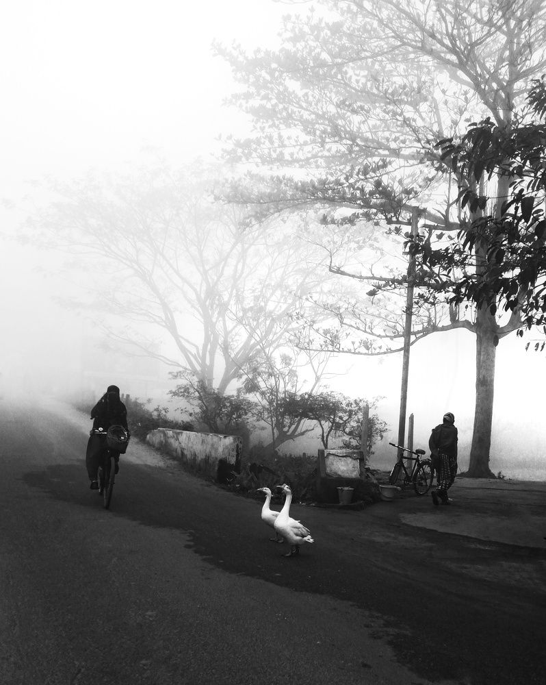Photo #8951547
