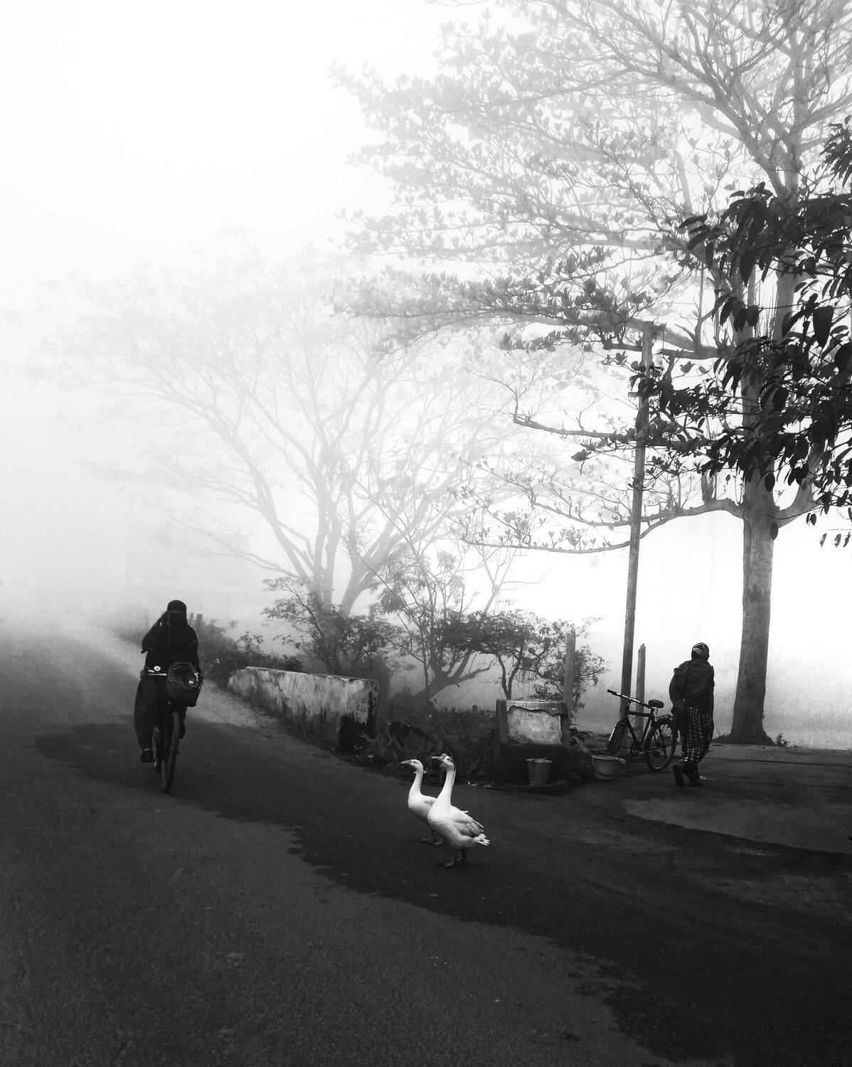 Photo #8951547
