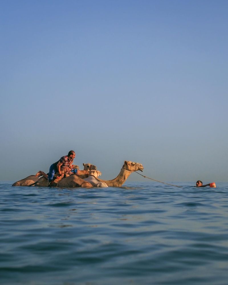 Photograph by Amar Habeeb