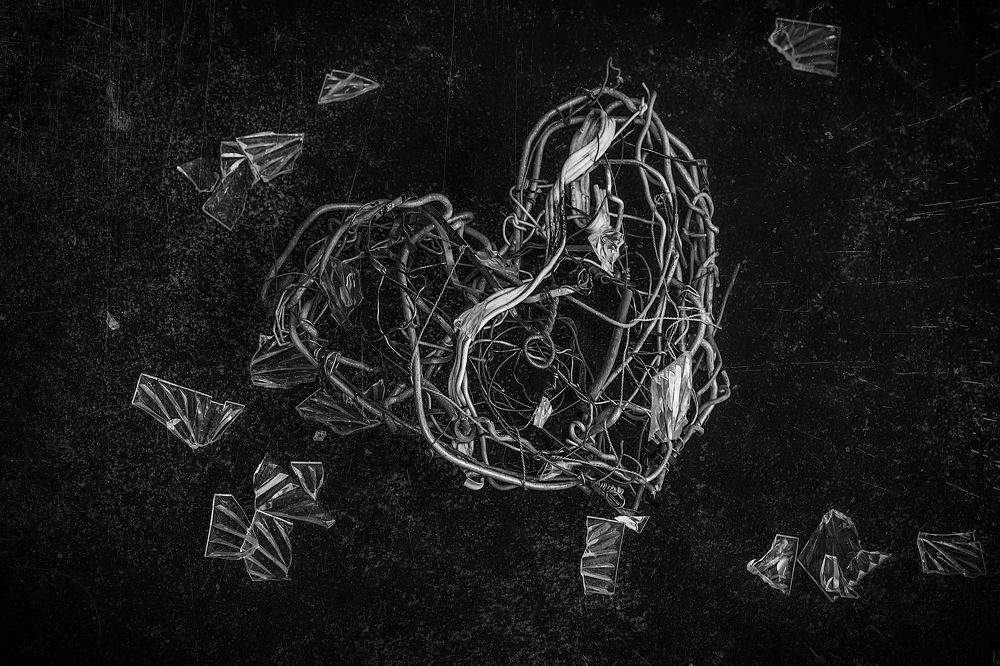 Photograph by Ледок Галина