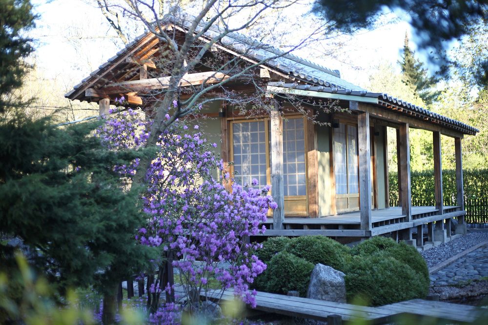 Photograph by Галина