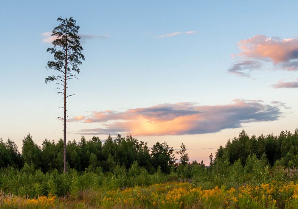 Photograph by Диана Бородзе