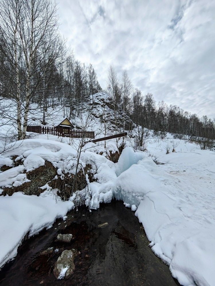 Photograph by Чкареули Светлана