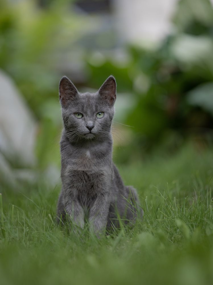 Фотография автора Алексей Гнедчик