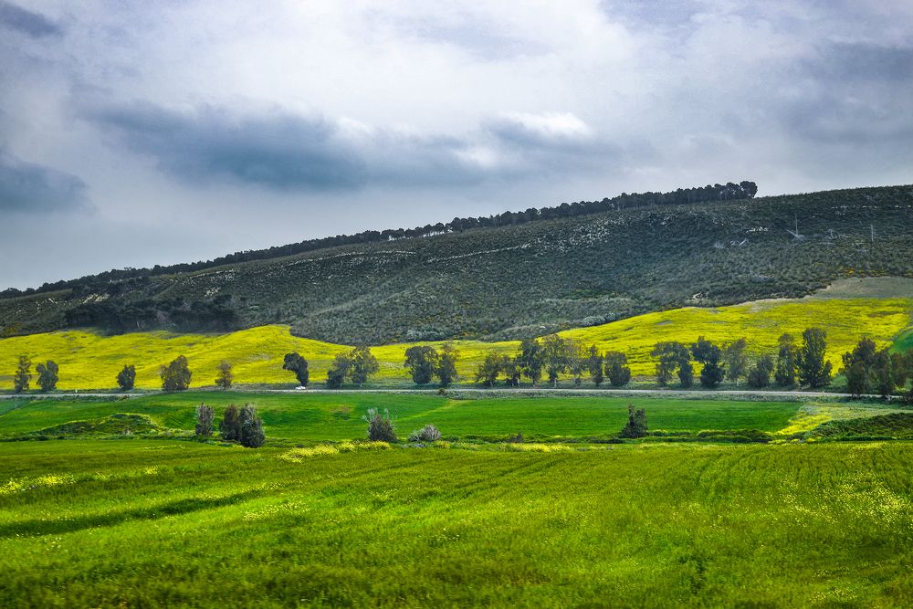 Фотография автора ghassen bargaoui