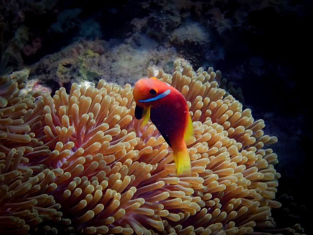 Photograph by Yulian Mr