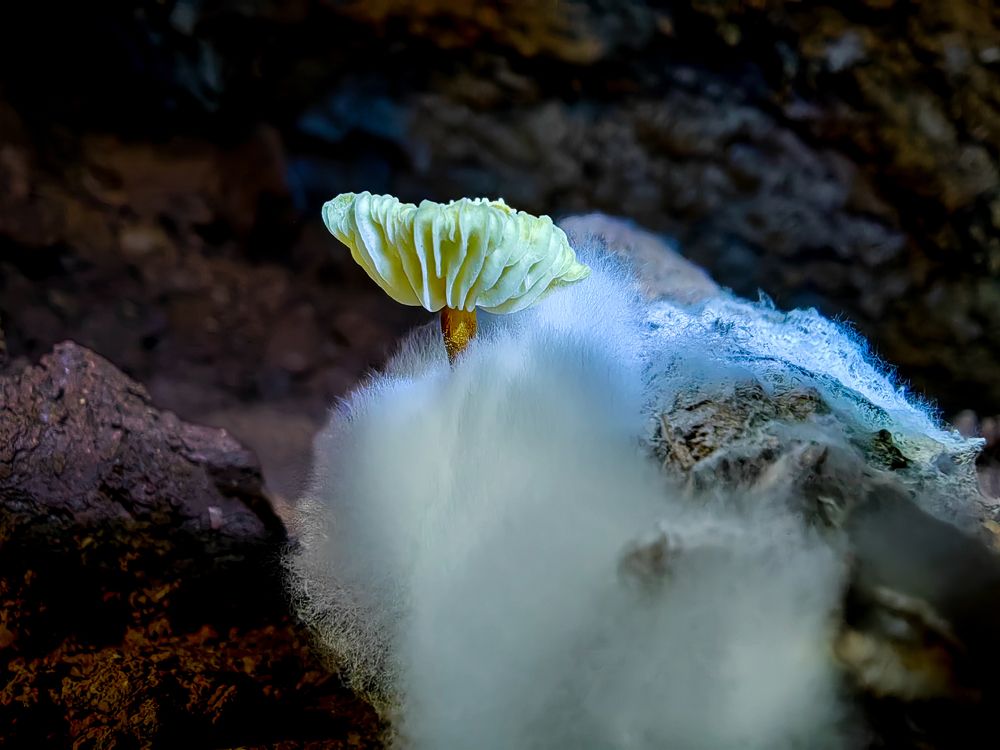 Photograph by Yulian Mr