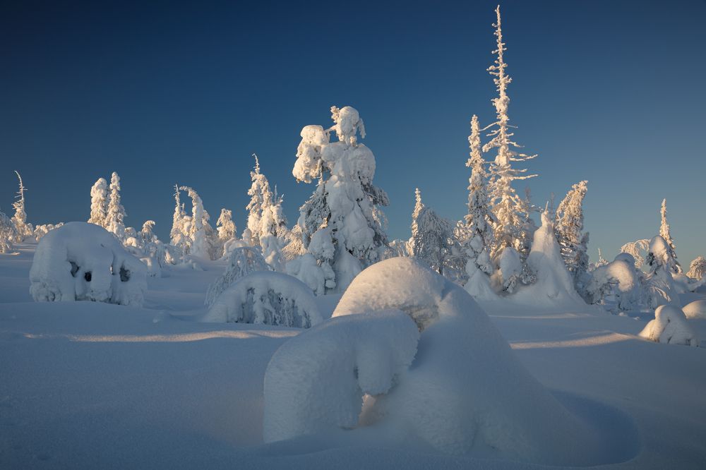 Photograph by Мария Казакова