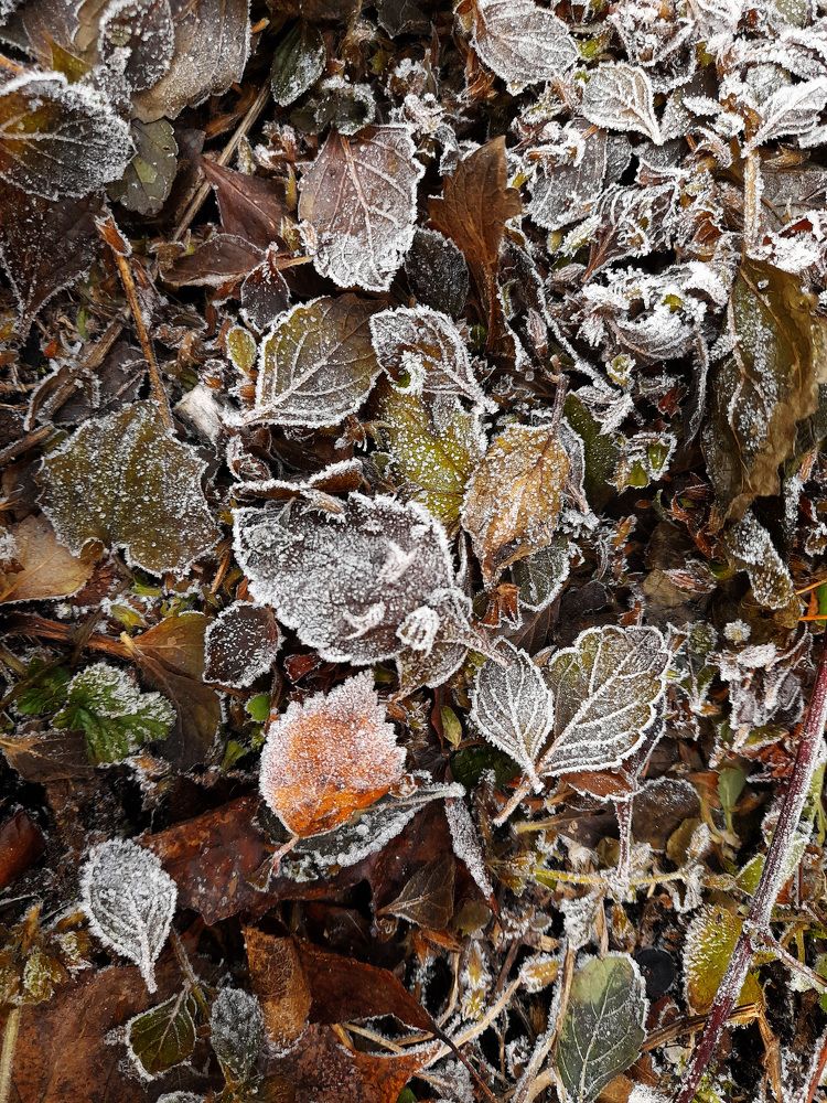 Фотография автора Владислава Андрюнина