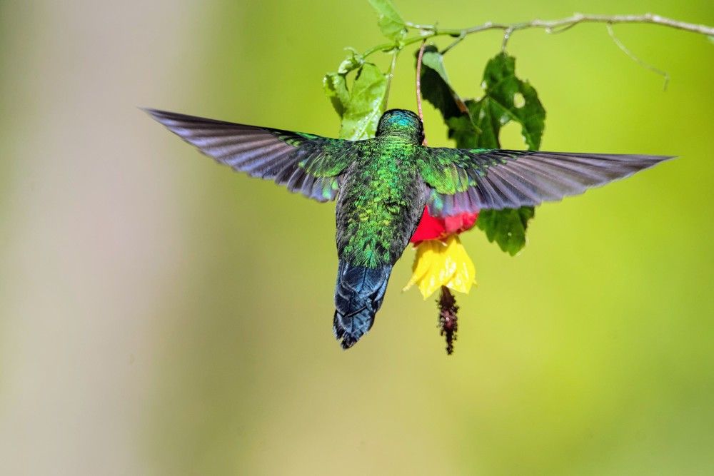 Photograph by Eduardo Bom
