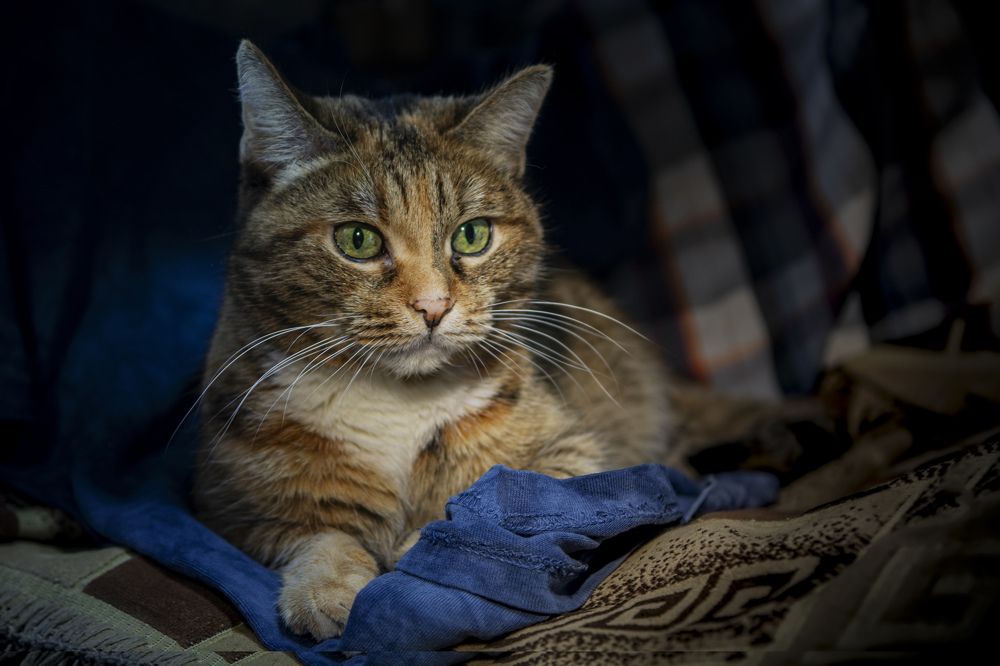 Photograph by Игорь Смирнов