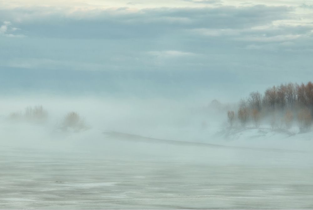 Photograph by Ксения