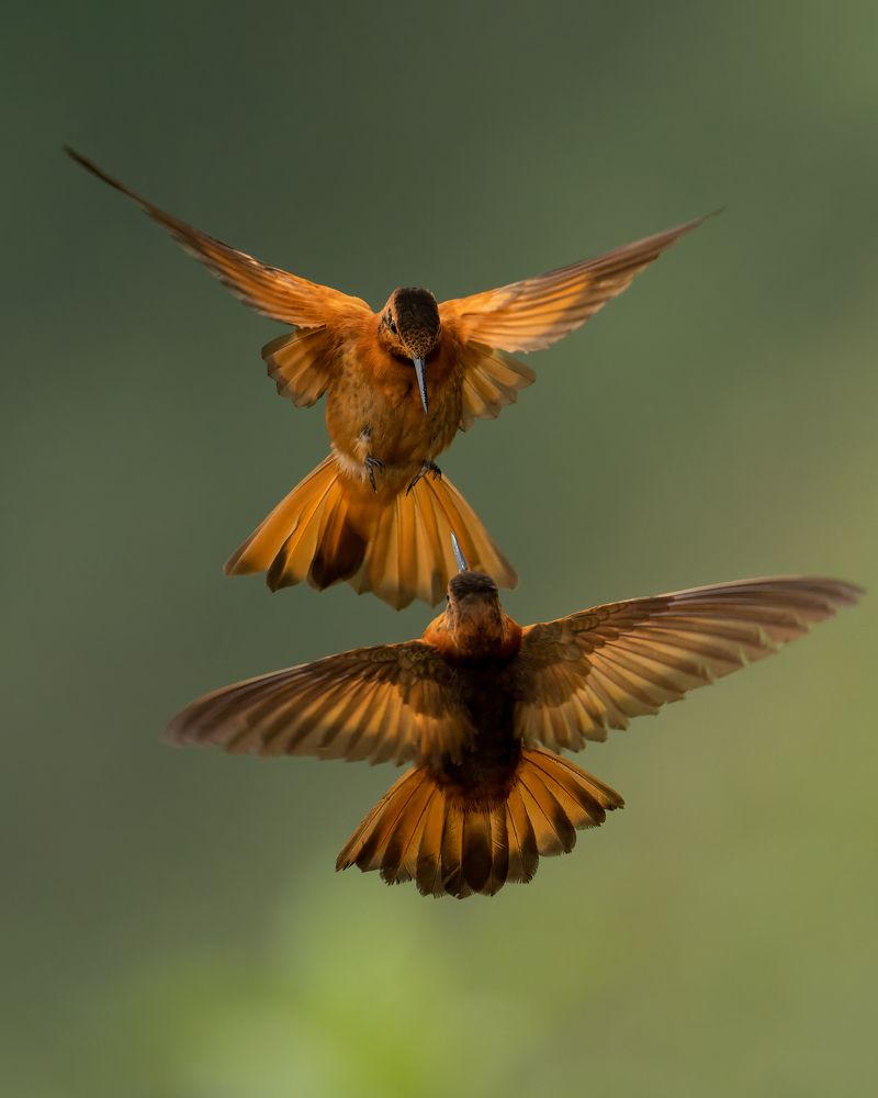 Photograph by Akhil Vinayak Balachandra Menon