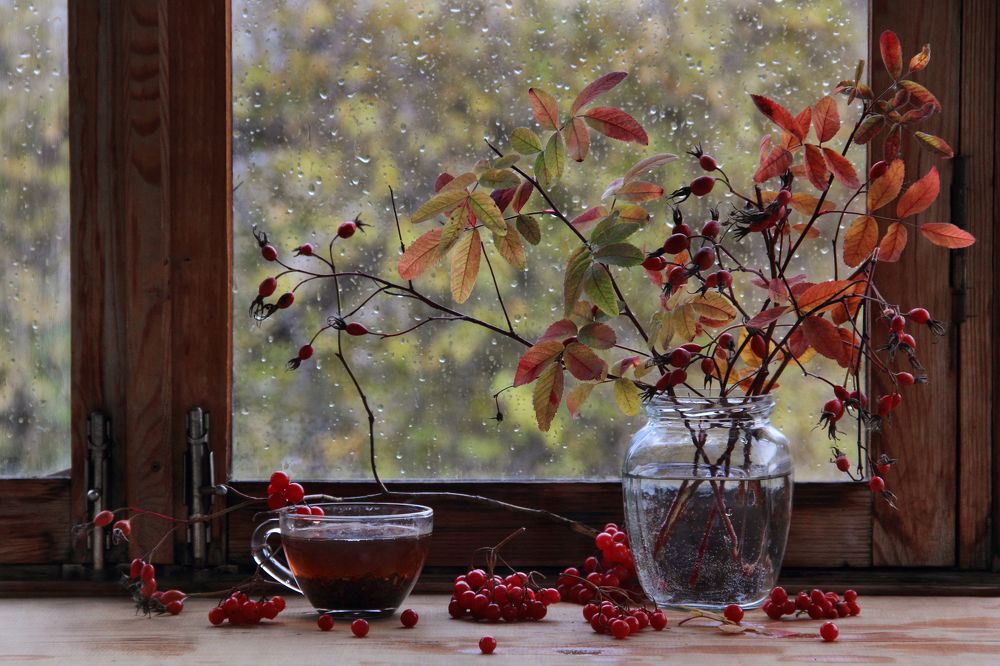 Фотография автора Дарья Шамакина