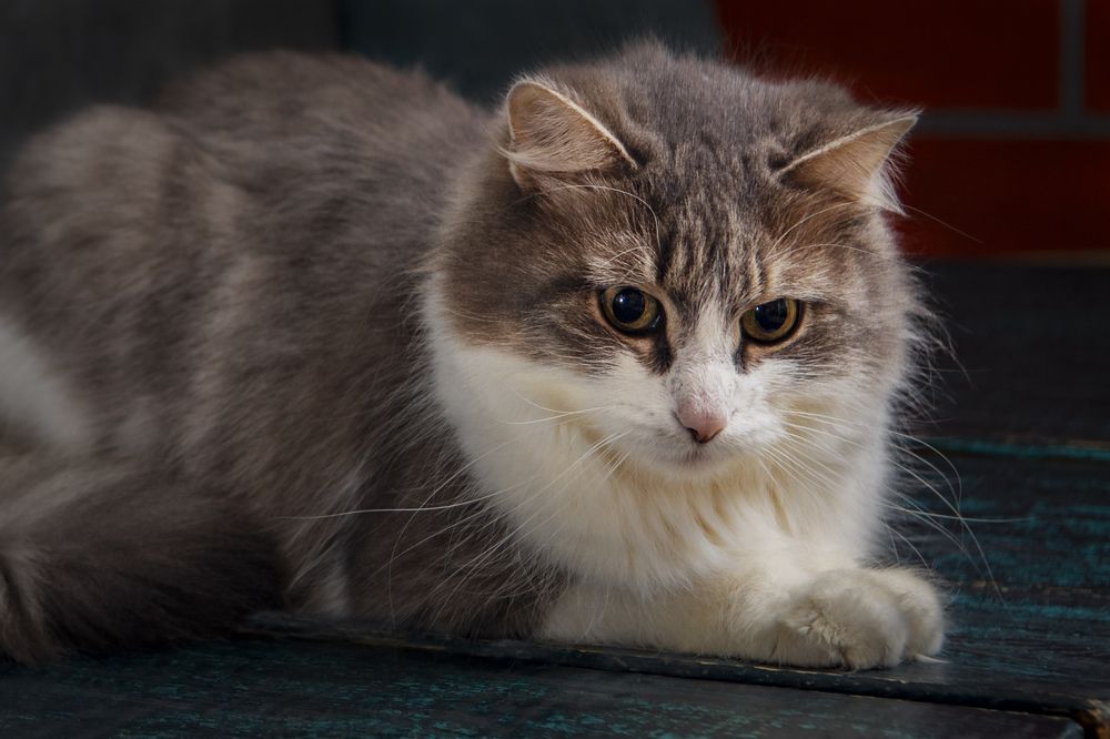 Photograph by Игорь Смирнов