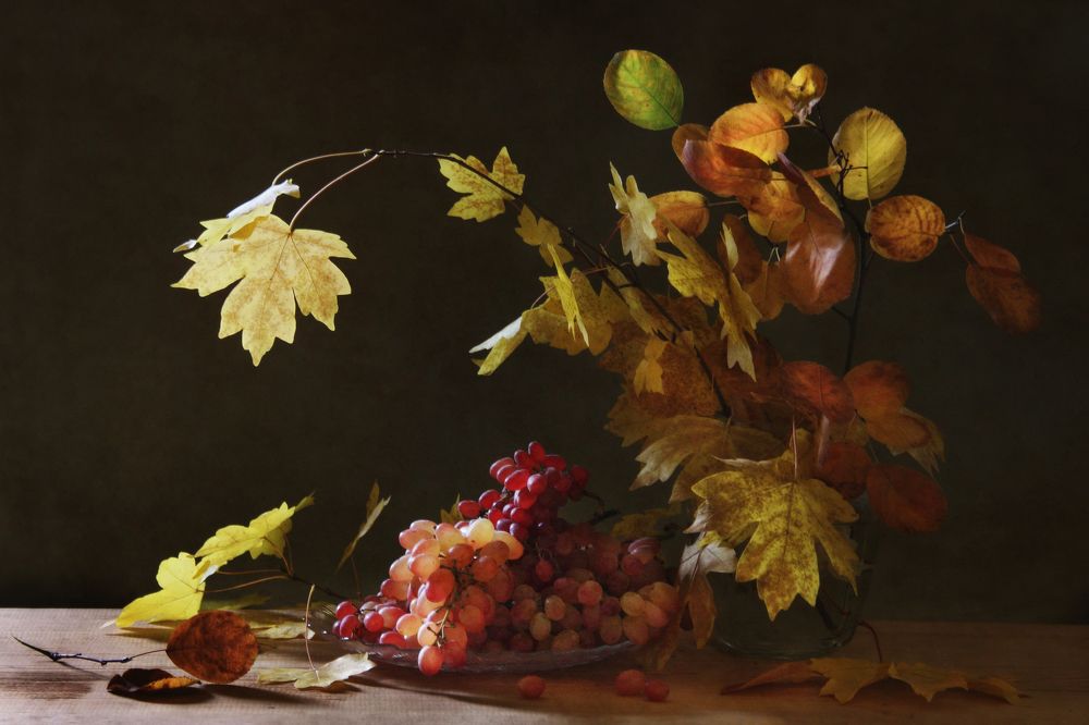 Фотография автора Дарья Шамакина