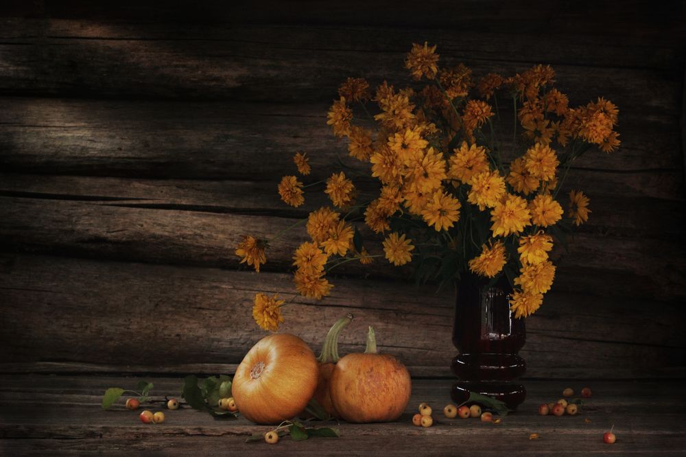 Фотография автора Дарья Шамакина