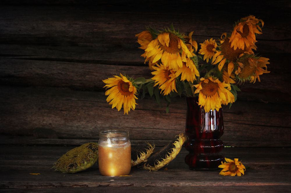 Фотография автора Дарья Шамакина