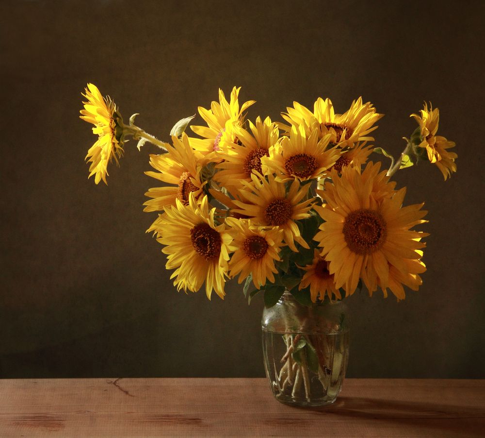 Фотография автора Дарья Шамакина