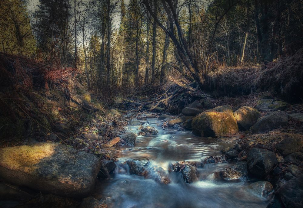 Photograph by Ксения