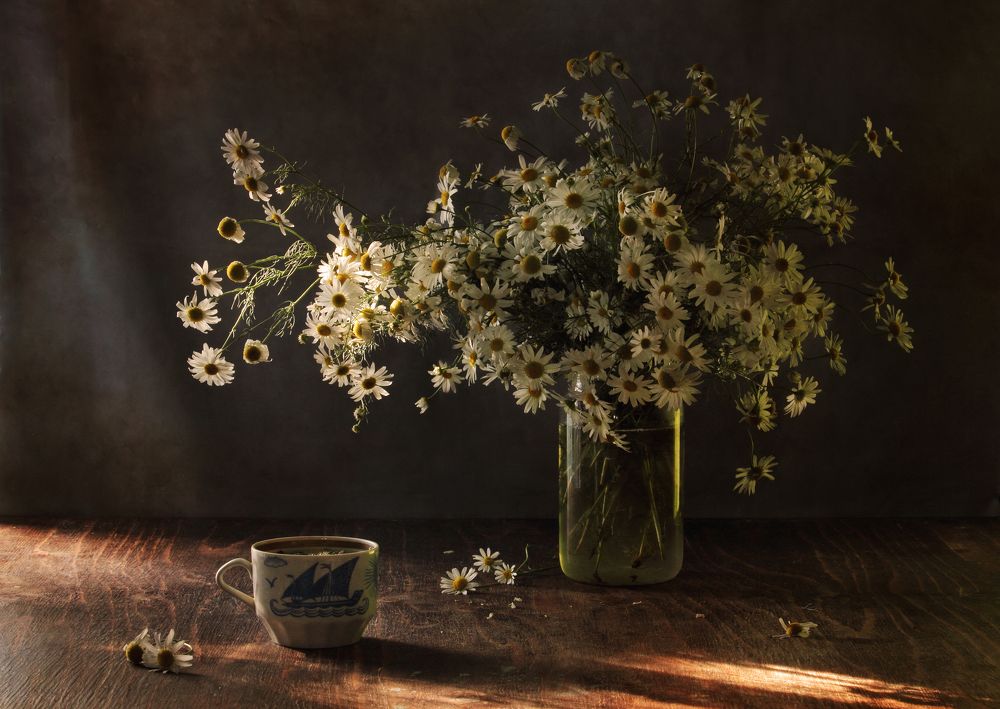 Фотография автора Дарья Шамакина