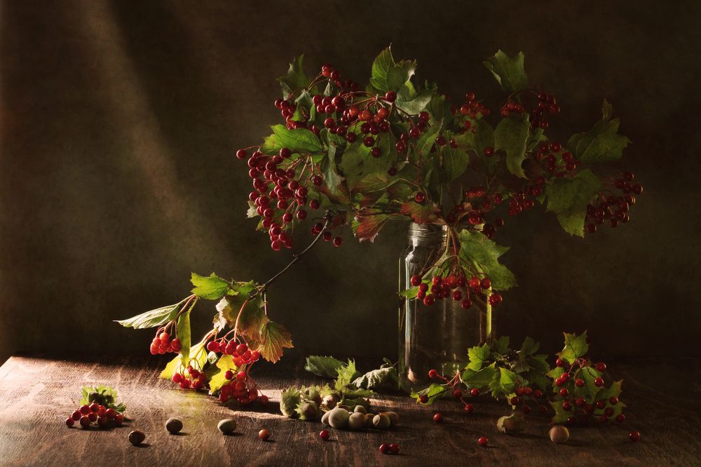 Фотография автора Дарья Шамакина