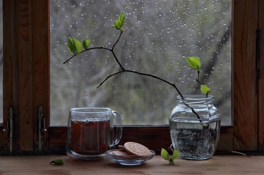 Фотография автора Дарья Шамакина