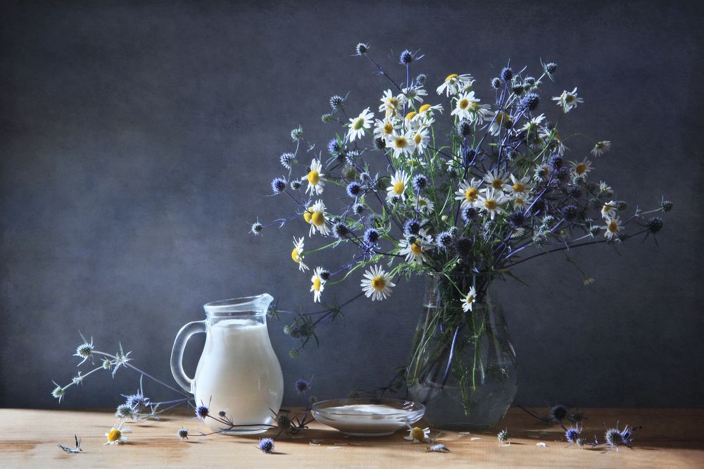 Фотография автора Дарья Шамакина