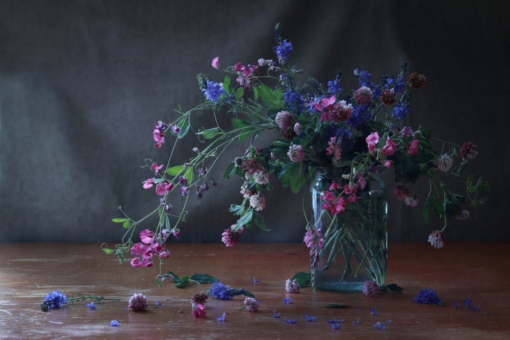 Фотография автора Дарья Шамакина