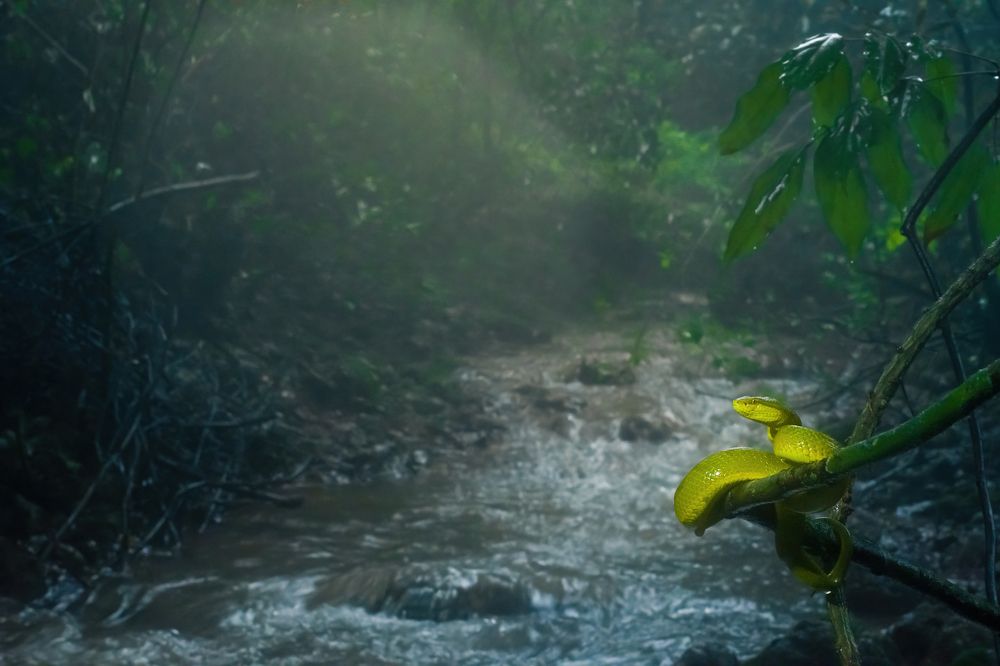 Photograph by Jain Salil