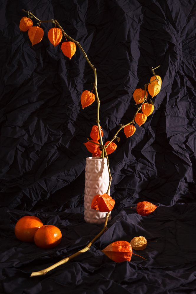 Photograph by Pauline Starodubova