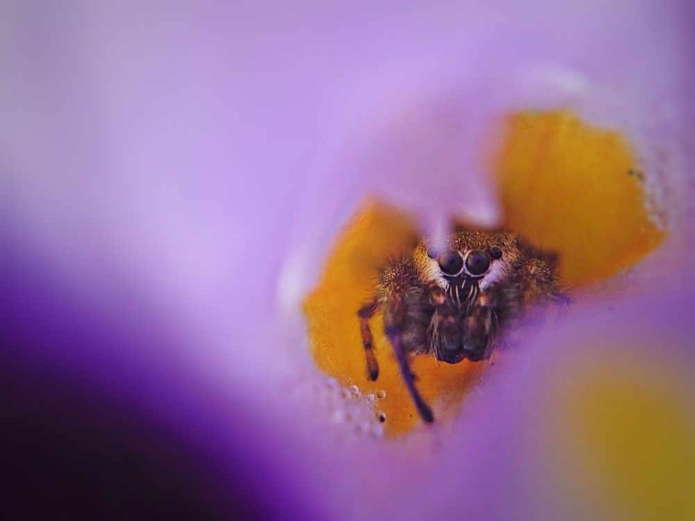 Photograph by Kasun Wickramasinghe