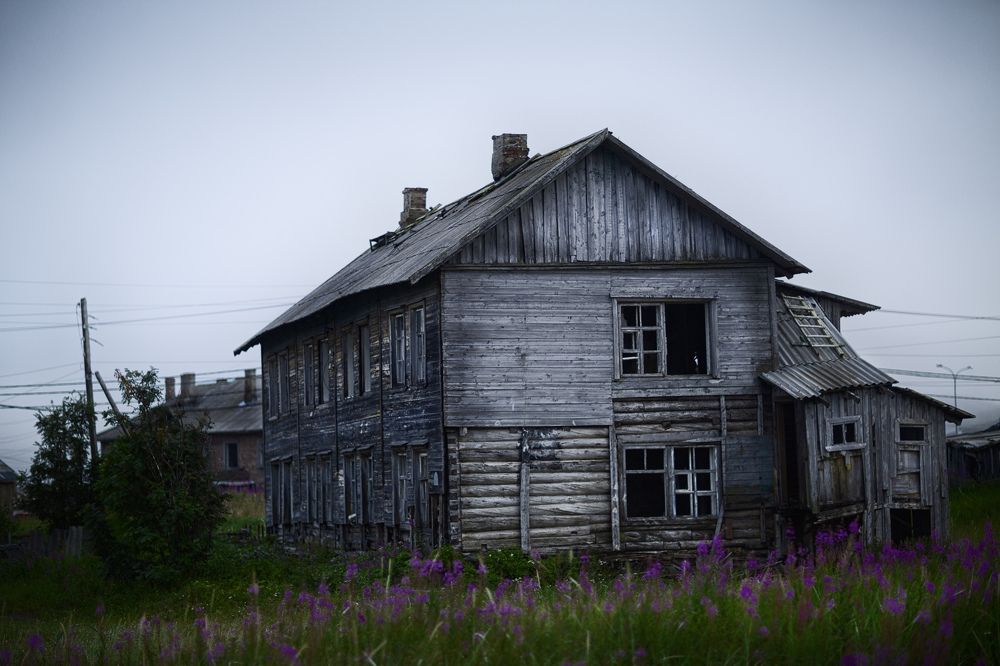 Фотография автора Дарья Могилевцева