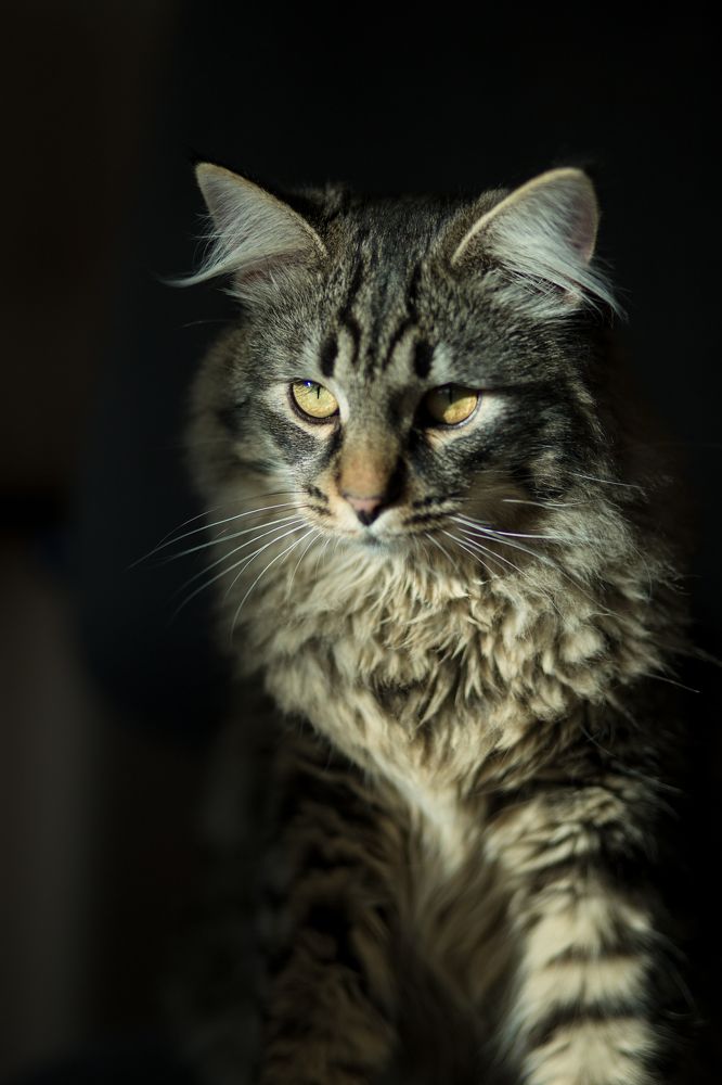 Photograph by Татьяна Бушук