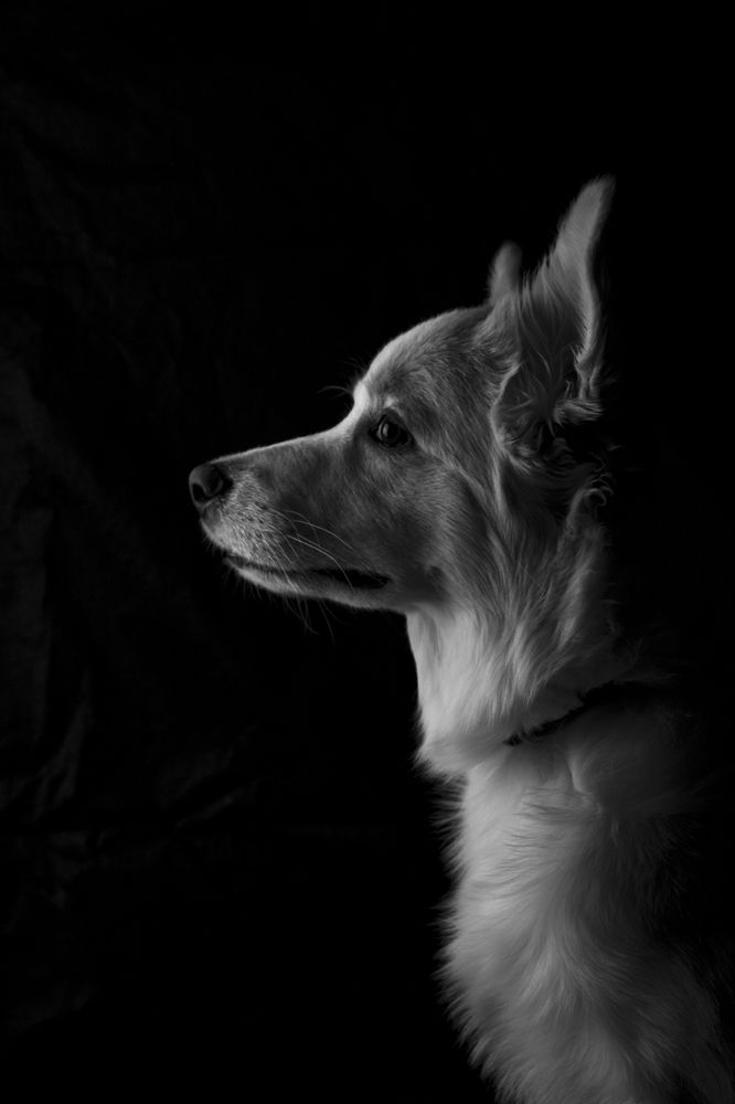 Photograph by Ольга Легенькая