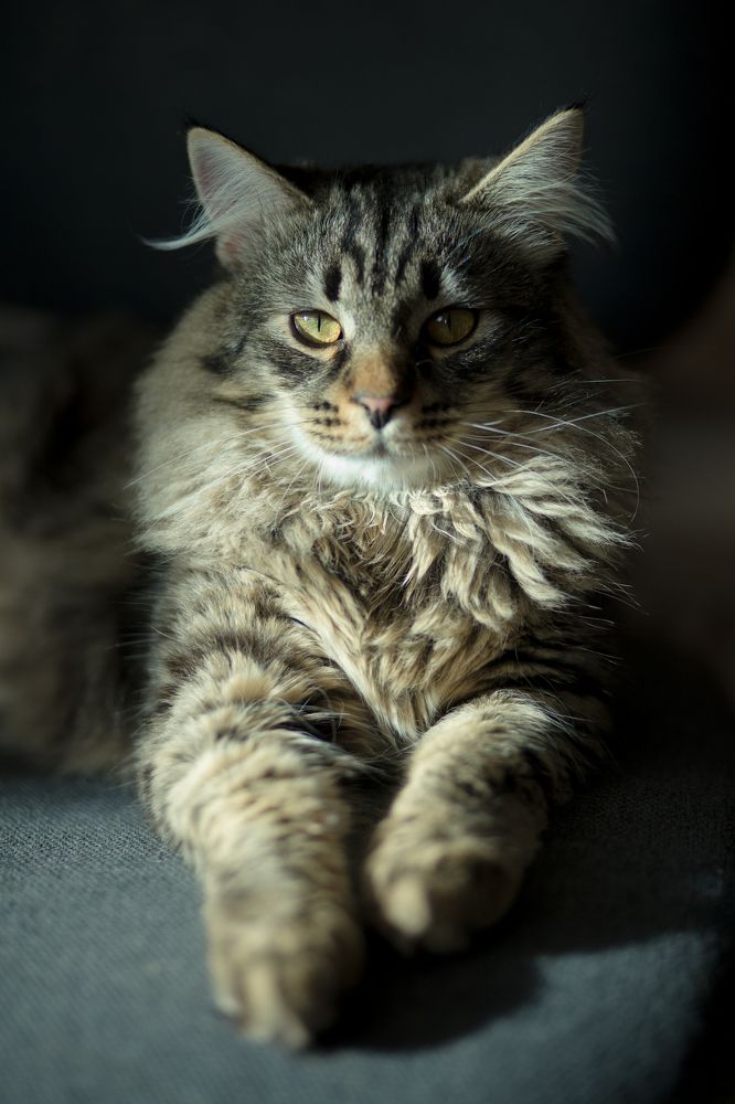 Photograph by Татьяна Бушук