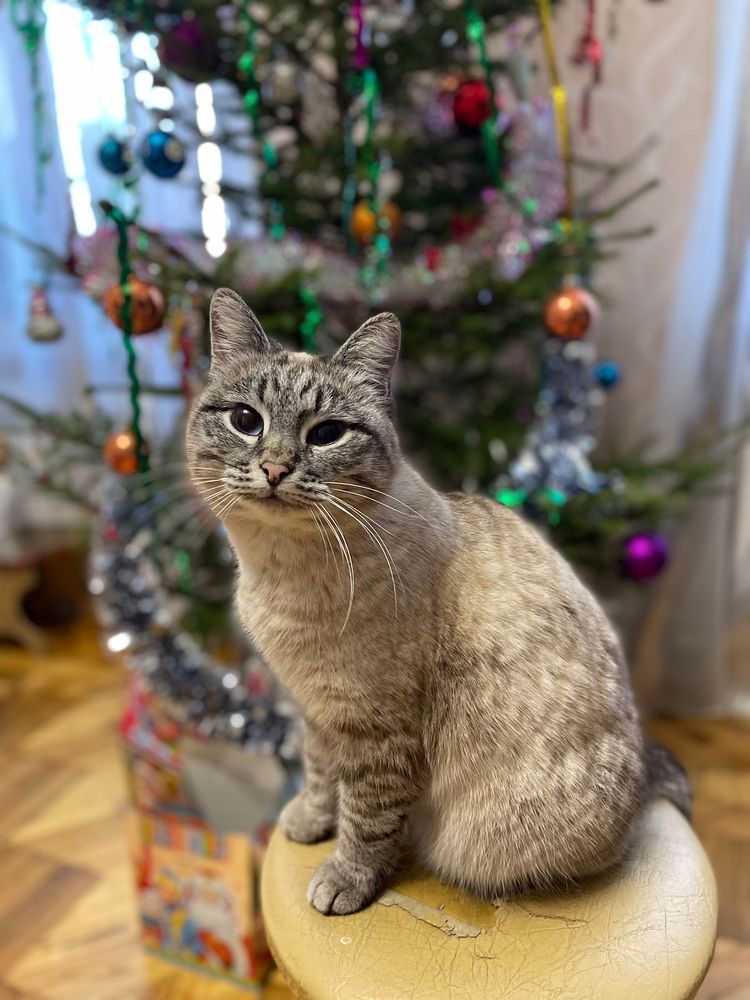 Photograph by ValentinaK