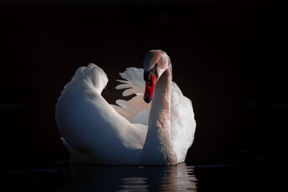 Photograph by Николай Абрамов