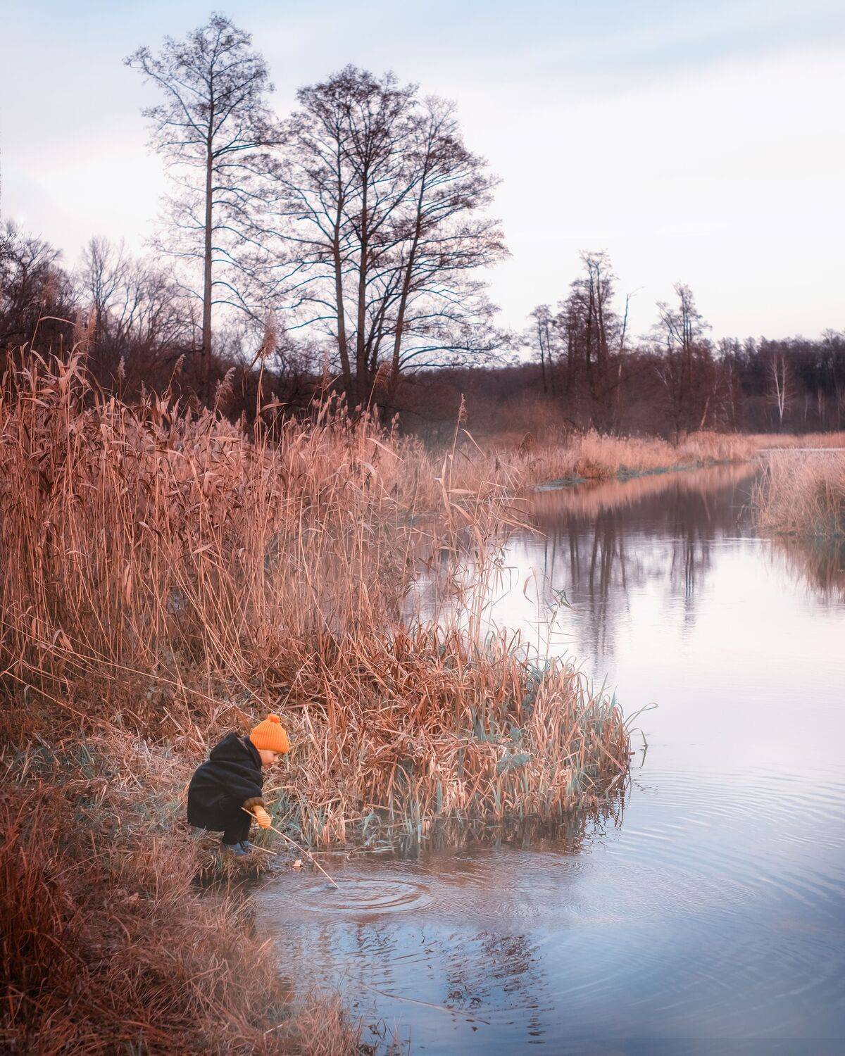 Photo #8952393