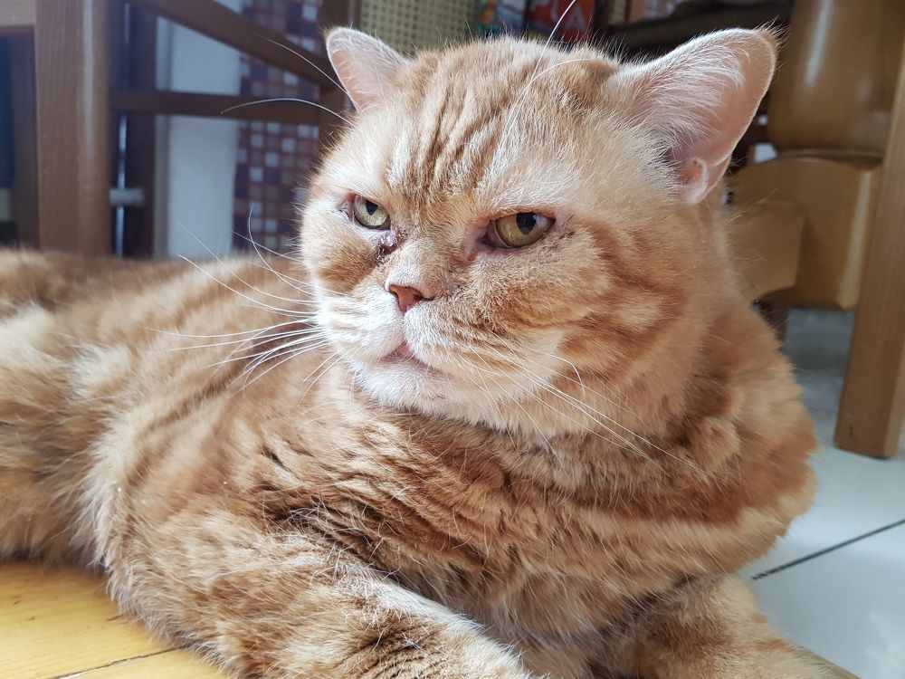 Photograph by TATIANA MASYCHEVA