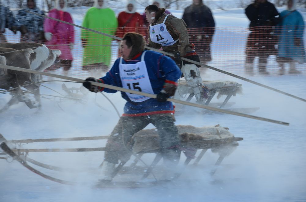 Фотография автора Мария Черница