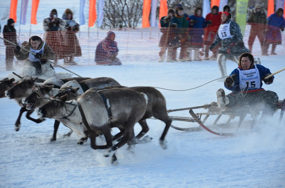 Фотография автора Мария Черница