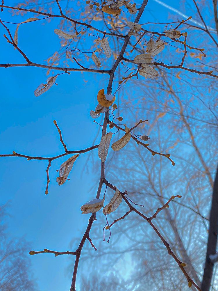 Photograph by Вера Романова