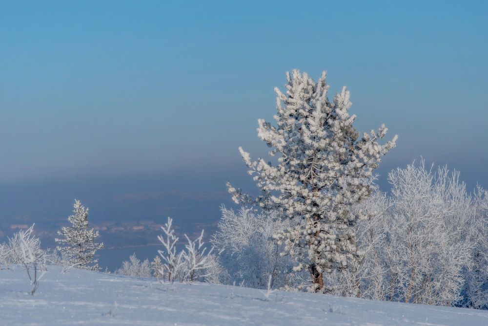 Photograph by Марина Зборацкая