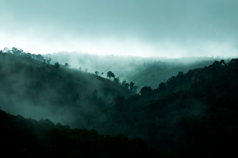 The essence of Monsoon