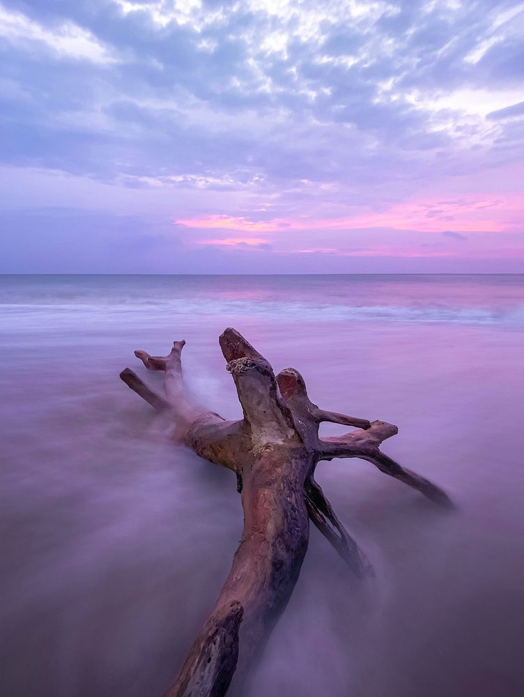 Photograph by Harsha Bandara