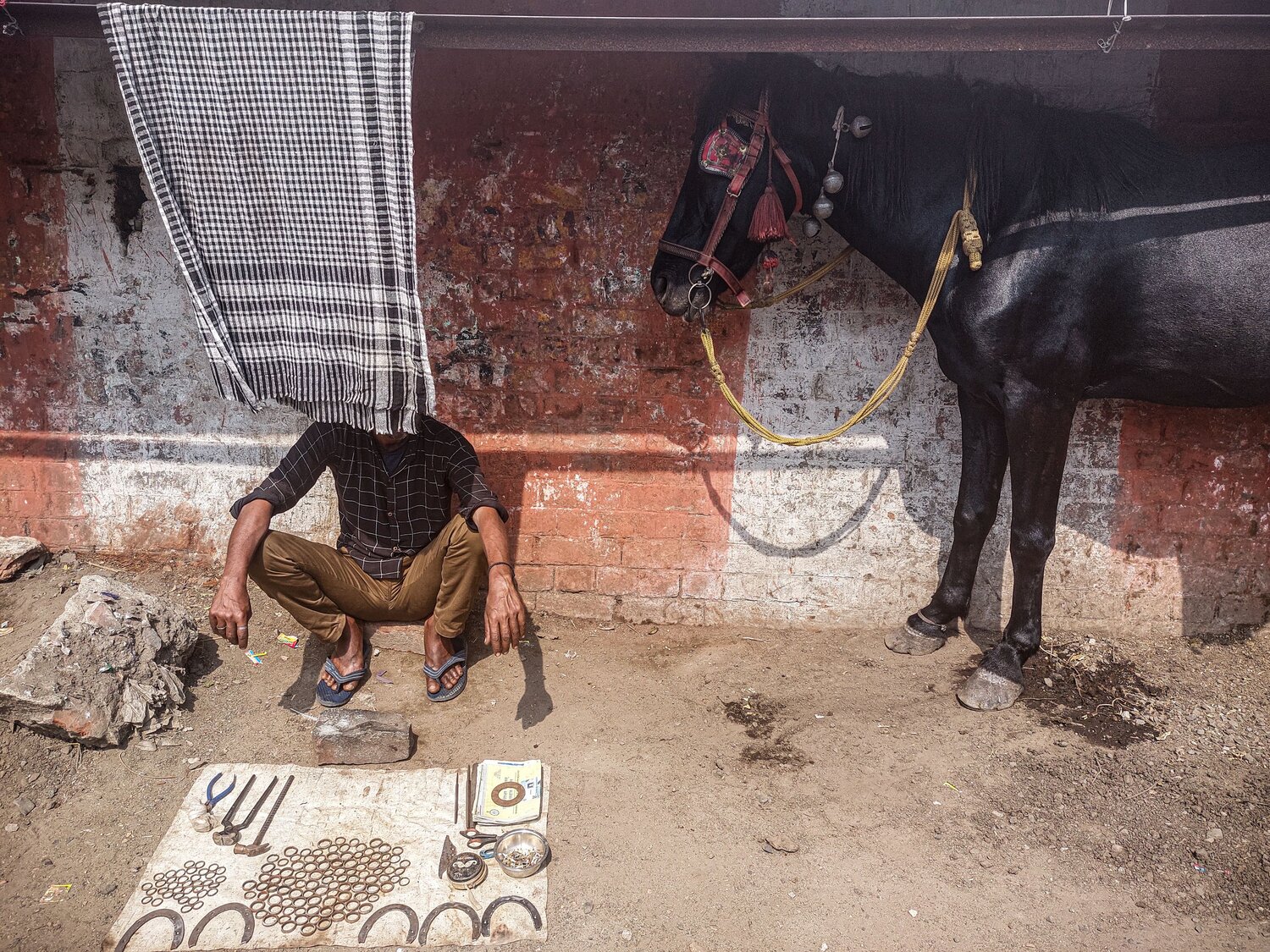 Photo #8952574