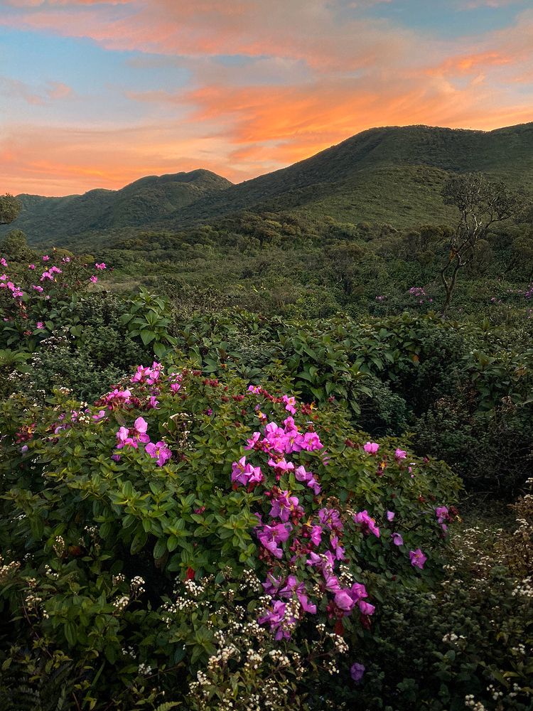 Photograph by Harsha Bandara