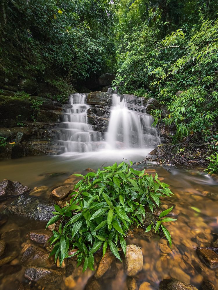 Photograph by Harsha Bandara
